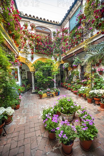 Patio decorated with flowers - Photo12-imageBROKER-Mara Brandl