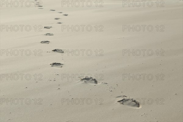 Footprints in the sand at Kniepsand