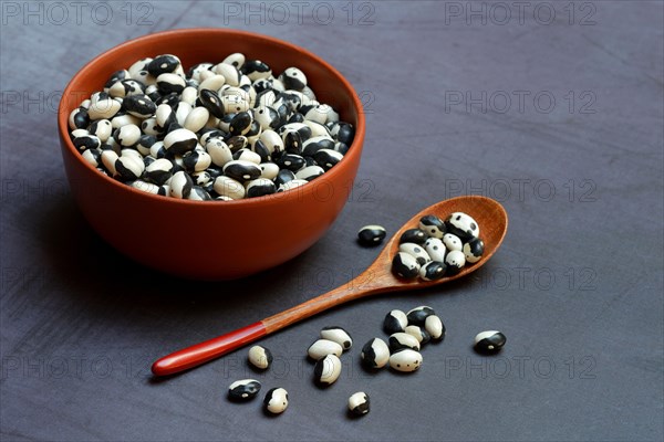 Dried beans in shell with spoon