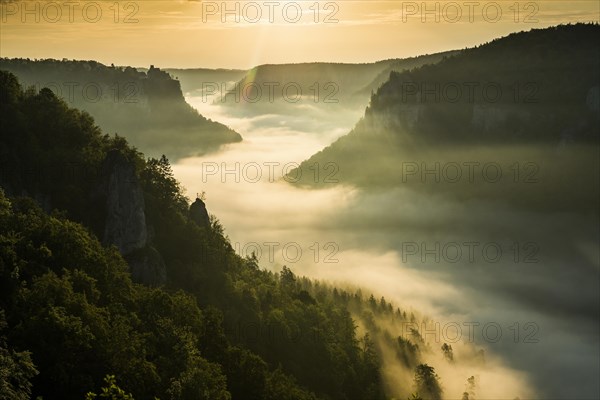 View from Eichfelsen to Werenwag Castle with morning fog