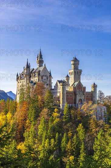 Neuschwanstein Castle in autumn