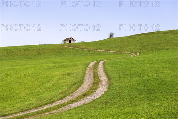 Landscape near Rieden am Forggensee