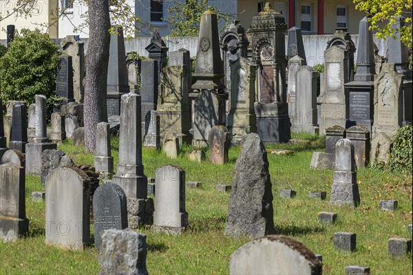 Gravestones at the Old Jewish Cemetery