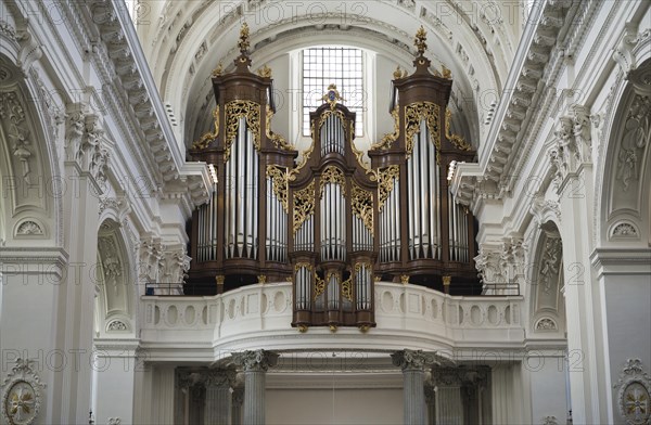 Main organ by Kuhn
