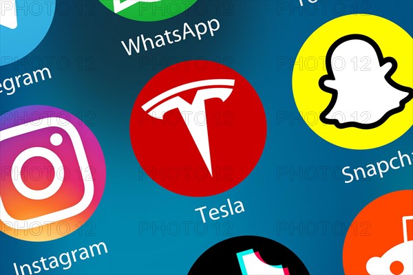 Tesla App Logo Icon in Internet Background in Germany