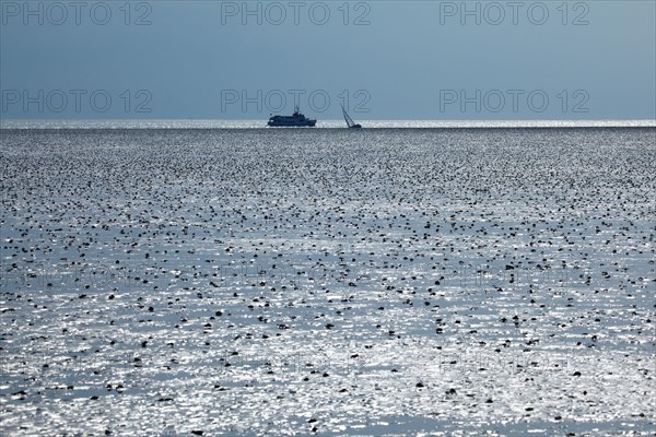 Wadden Sea in the North Sea