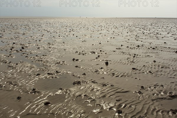 Wadden Sea in the North Sea