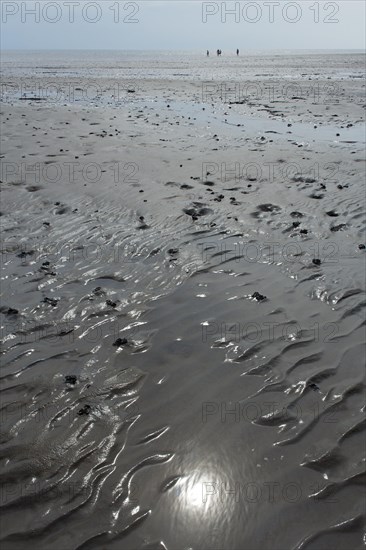 Wadden Sea in the North Sea