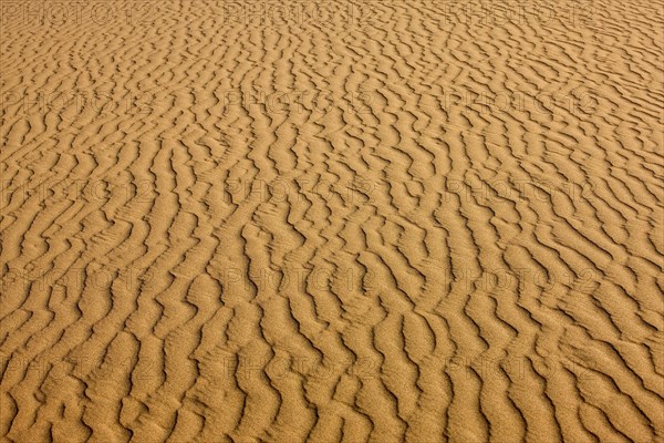 DESERT NEAR WALVIS BAY IN NAMIBIA