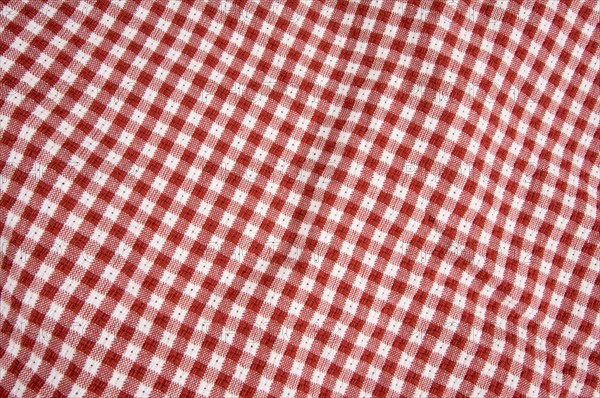 Red and white checkered picnic blanket detail