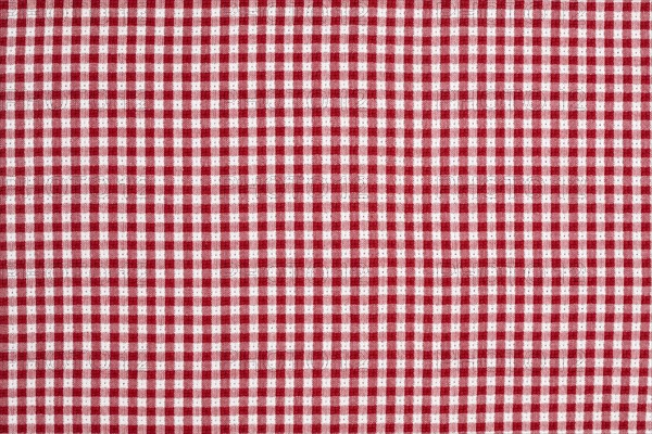 Red and white checkered picnic blanket tablecloth detail - Photo12 ...