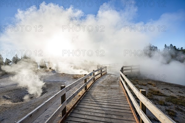 Boardwalk between steaming hot springs