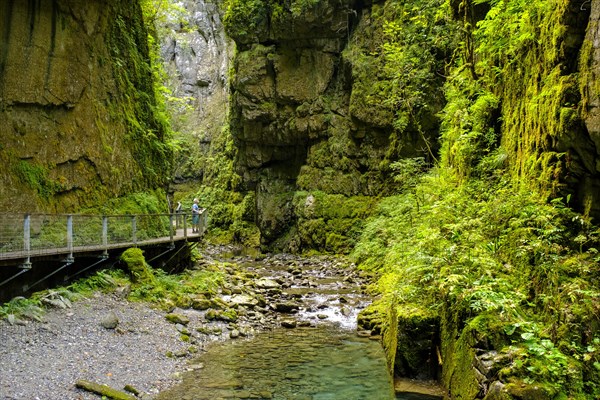 Les Gorges de Kakuetta