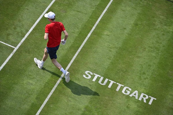 Ball boy on grass court