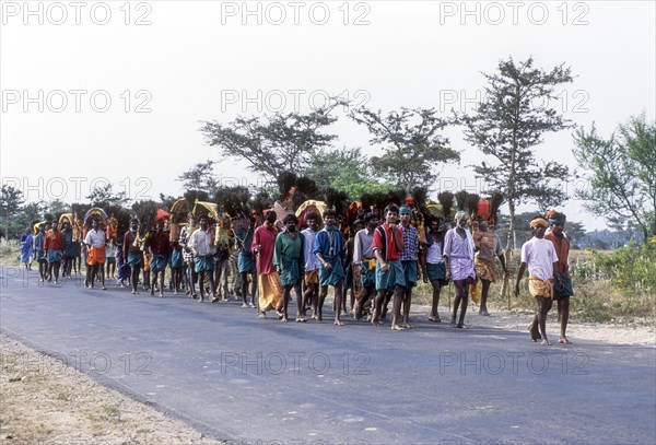 Devotees carrying Kavadi on their shoulders to Palani on Thai Poosam day