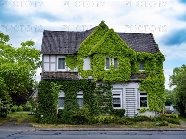 Green half-timbered house in the Rundlingsdorf Gistenbeck