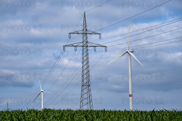 Wind turbines and power pylons at the Rundlingsdorf Gistenbeck