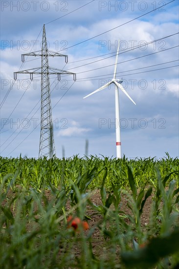 Wind turbines and power pylons at the Rundlingsdorf Gistenbeck