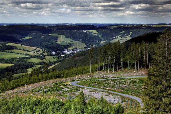 Hiking trail on the Ratzenberg to the Thueringer Warte in the Bavarian-Thuringian border area