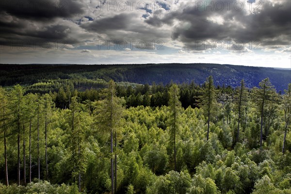 View from Thueringer Warte into the Bavarian-Thuringian border area of the former zonal border