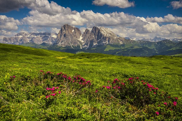 View of the peaks of the Langkofel (left) and the Plattkofel (right)