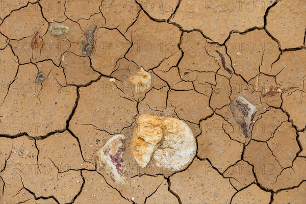 Cracks in the clay soil and coloured rhyolite rock