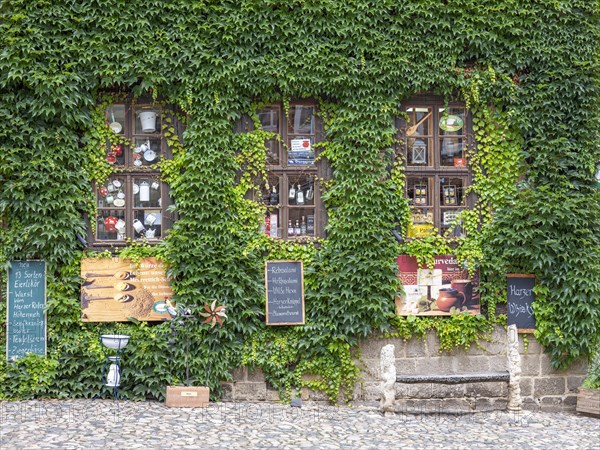 Green overgrown facade of the mustard shop