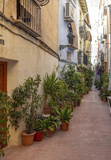 Narrow street with flowerpots