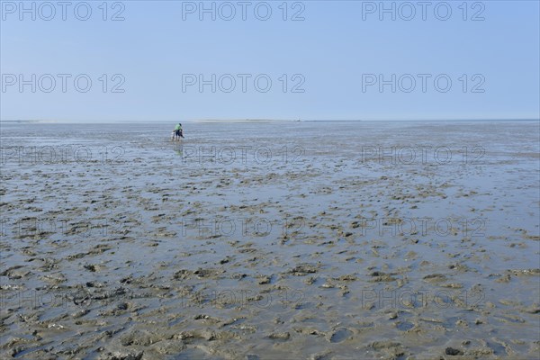 Hikers on the mudflats