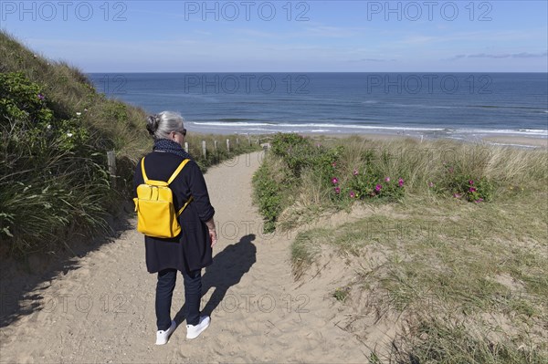 Senior woman with yellow backpack walking on path through dunes