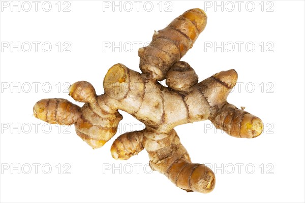 Close up of fresh turmeric