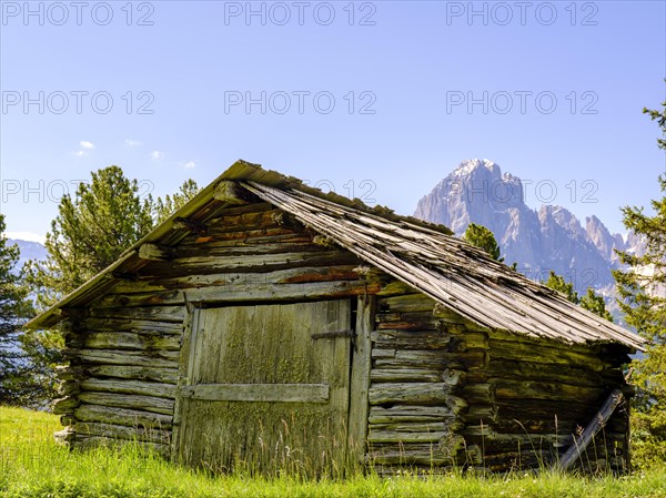 Alpine hut