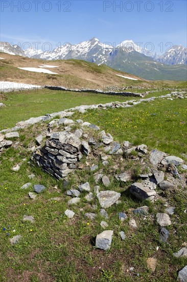 Archaeological soil find