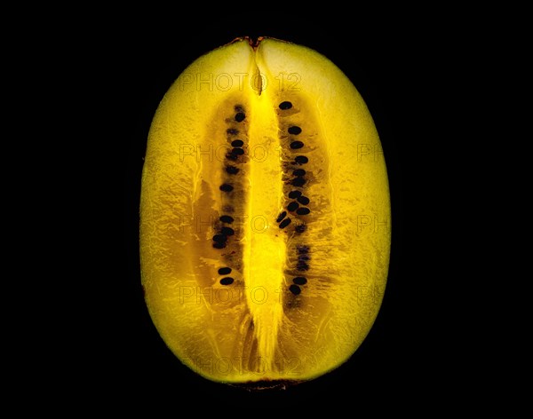 Kiwi fruit cut in half