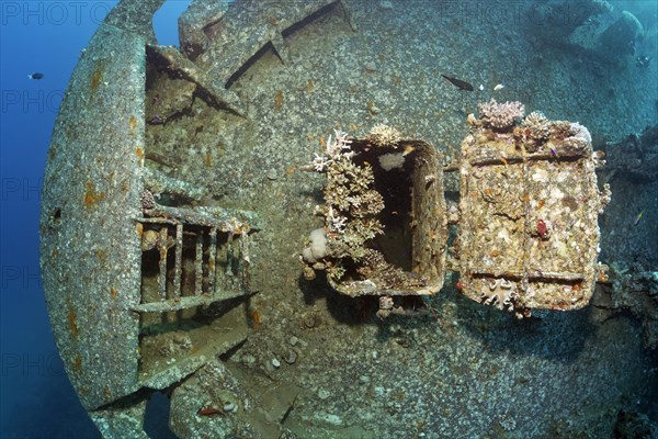 Entrance covered with stony corals