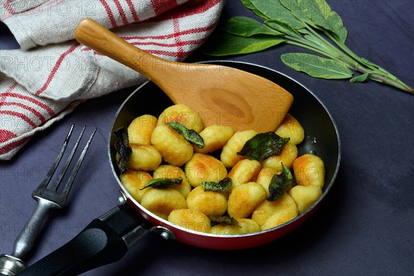 Fried potato gnocchi with sage leaves in pan