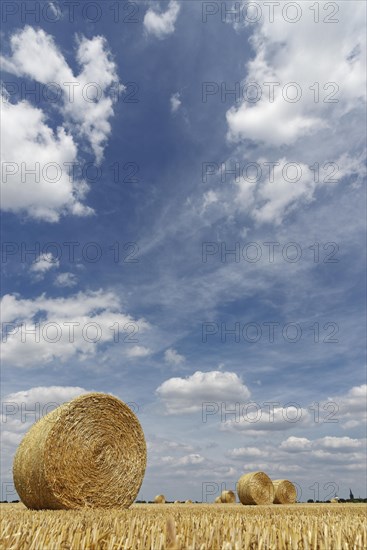 Round bales on field