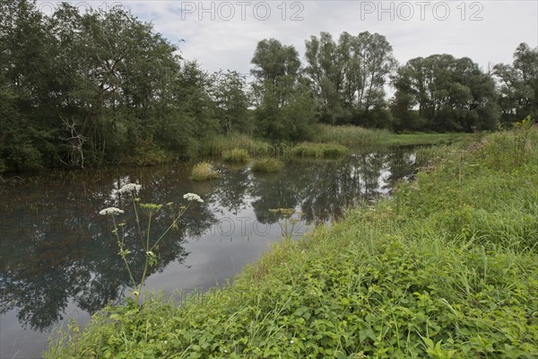 Lower Inn alluvial forest reserve