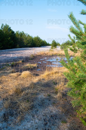 Post-excavation landscape