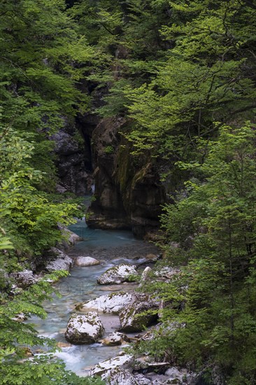 Tscheppaschlucht