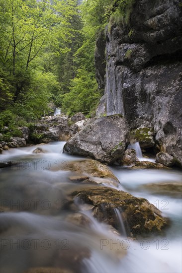 Tscheppaschlucht