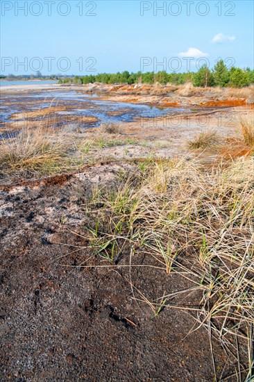 Post-excavation landscape