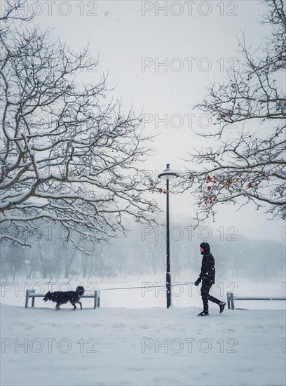 Man walking his dog in the city park. Silhouette of a person and pet wandering the snowy street in a cold winter morning. Blizzard and snowfall weather