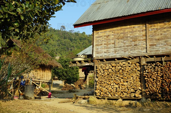 Stilt houses