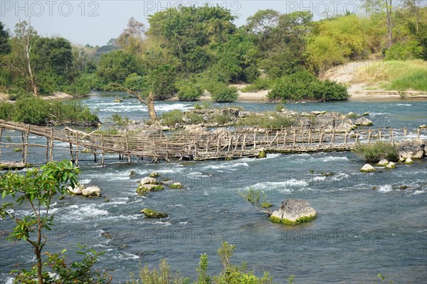 Bamboo racks for fishing