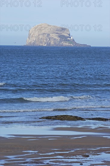 Bass Rock