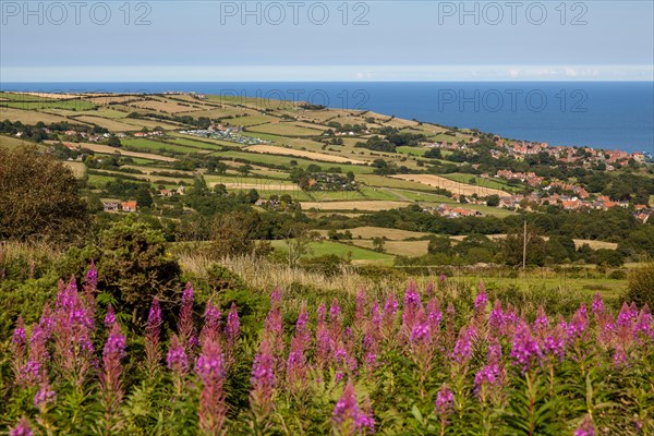 Robin Hood Bay