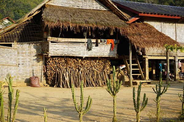 Stilt house