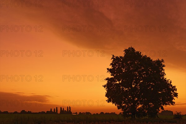 Dawn on the Lower Rhine