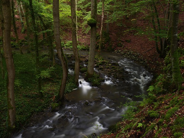 Strohner Switzerland